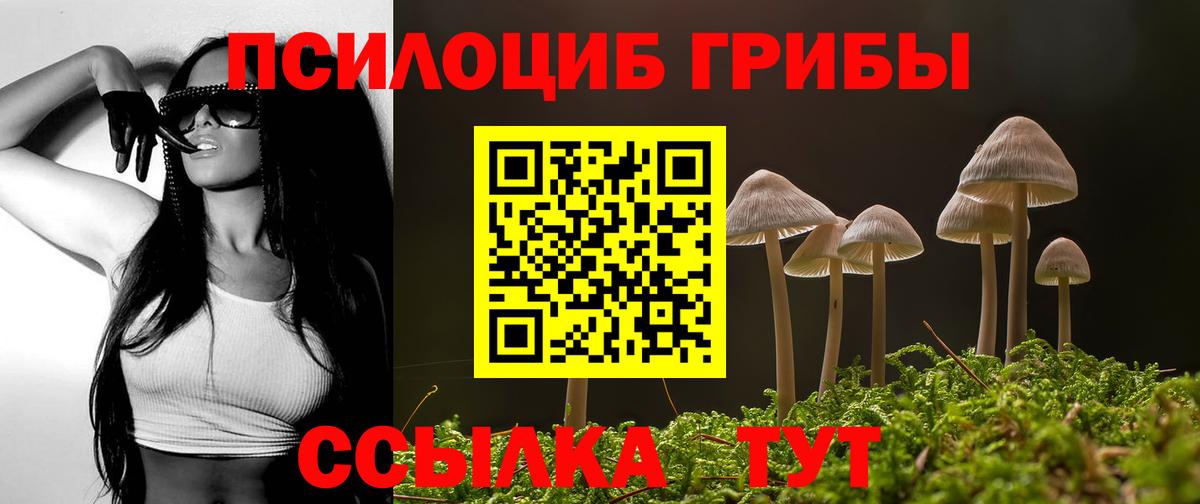 Галлюциногенные грибы прущие грибы Янаул